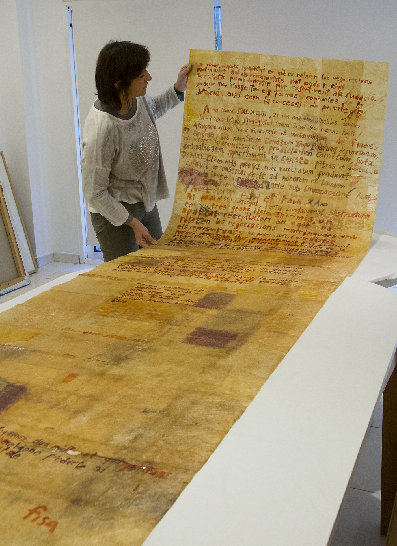 Lourdes-Fisa-Transparencies-01