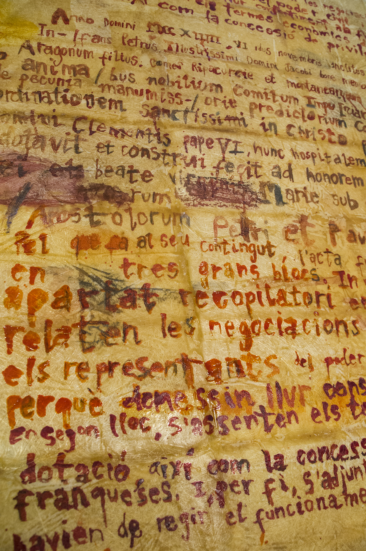 Lourdes-Fisa-Transparencies-02