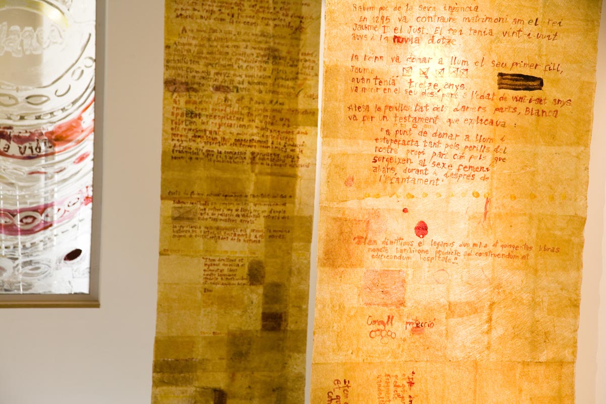 Lourdes-Fisa-Transparencies-07