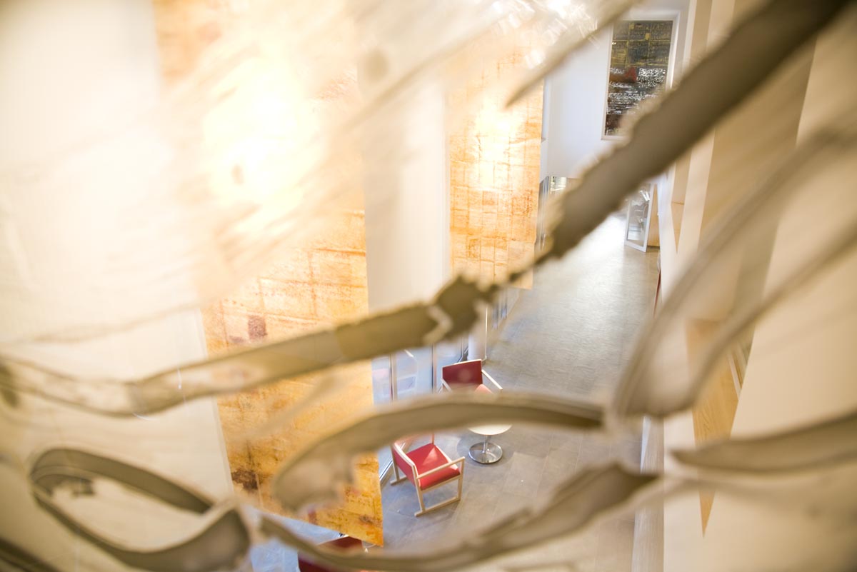 Lourdes-Fisa-Transparencies-10