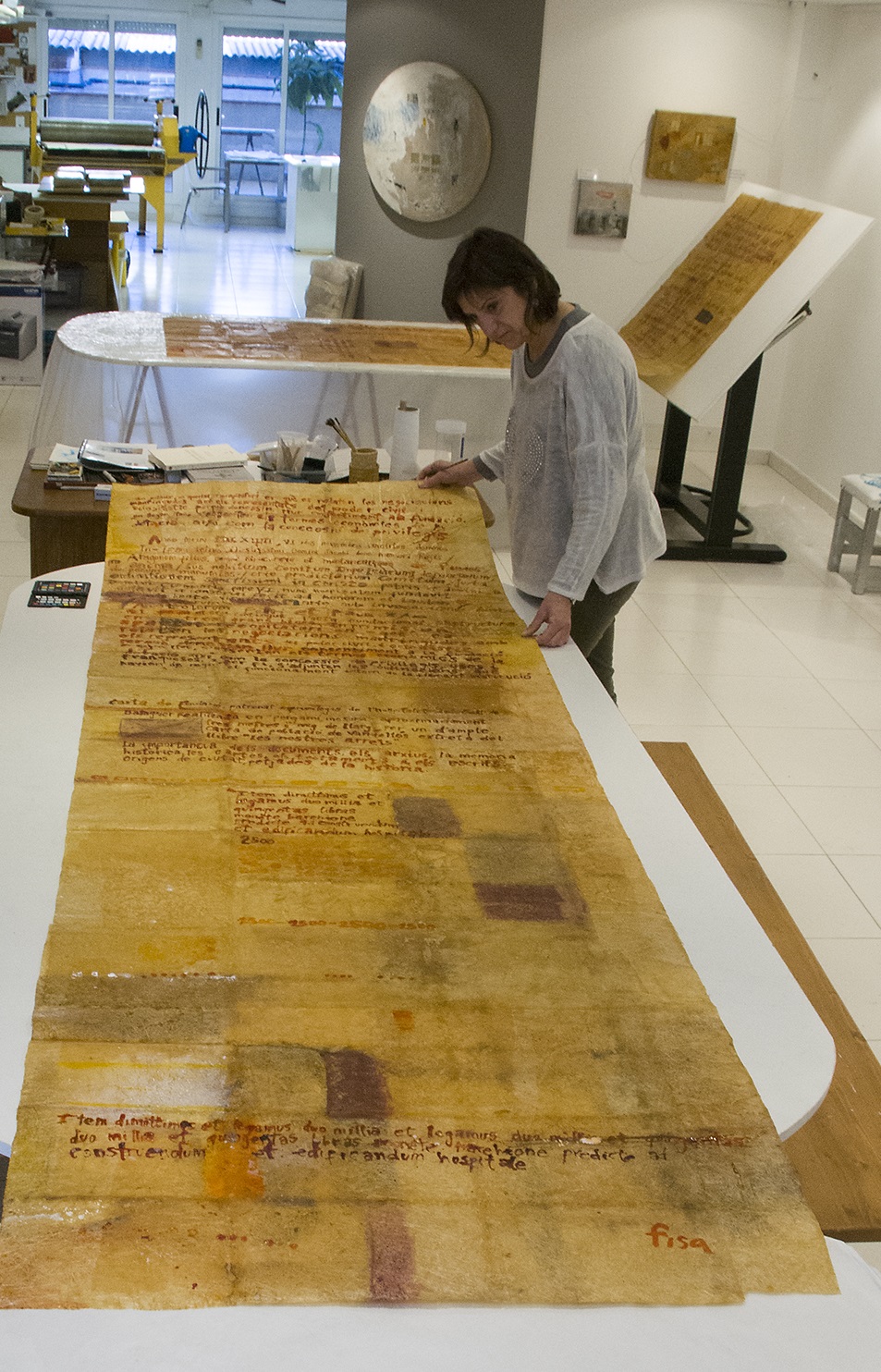 Lourdes-Fisa-Transparencies-15